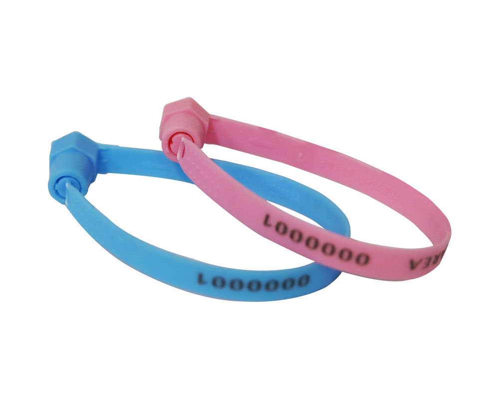 Ball lock plastic strap double lock security seals