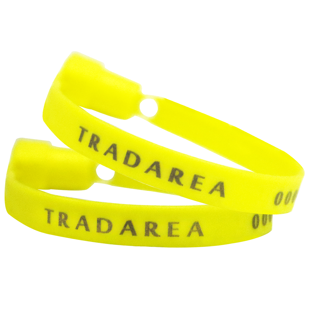 Ball lock plastic strap double lock security seals